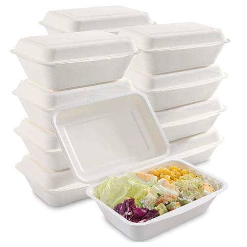 800ml Sugarcane Meal Container