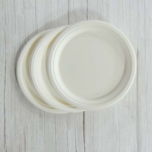 9 Inch Bagasse Food Plate