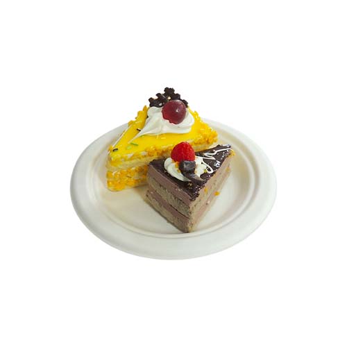 9 Inch Bagasse Food Plate