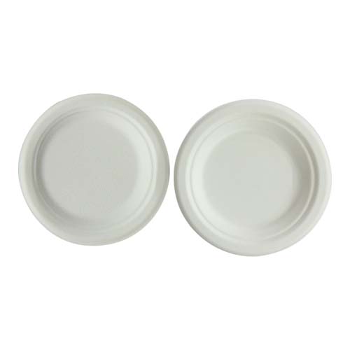 9 Inch Bagasse Food Plate