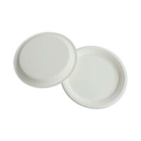 9 Inch Bagasse Food Plate