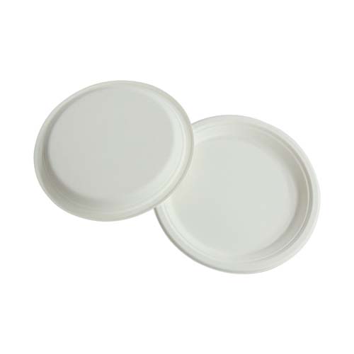9 Inch Bagasse Food Plate