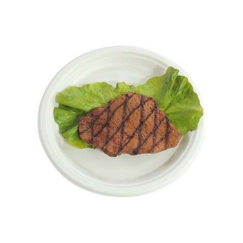 9 Sugarcane Dinner Plate