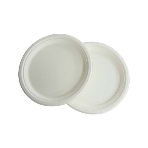 9 Sugarcane Dinner Plate