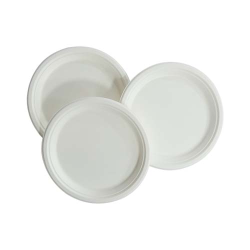 9 Sugarcane Dinner Plate