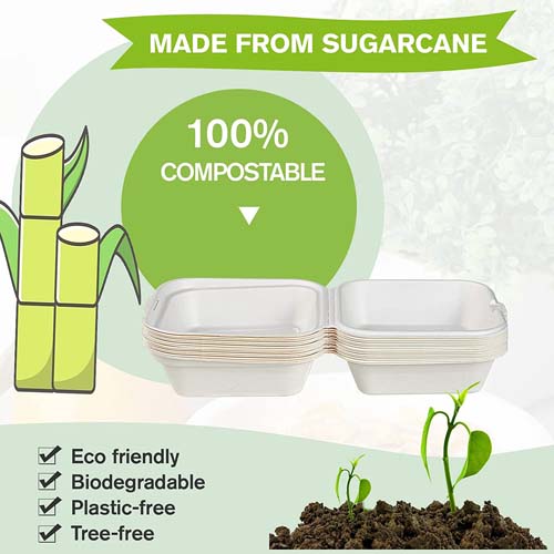 Are Compostable Containers Safe for Food A Complete Safety Guide for Businesses