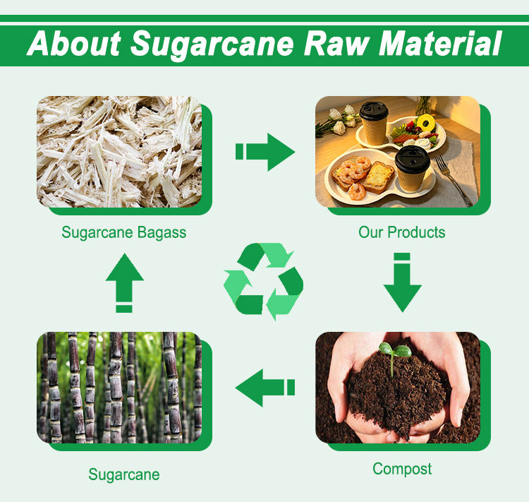 Coffee Shop Sugarcane Food Tray