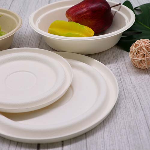 Round Sugarcane 8 Inch Bowl
