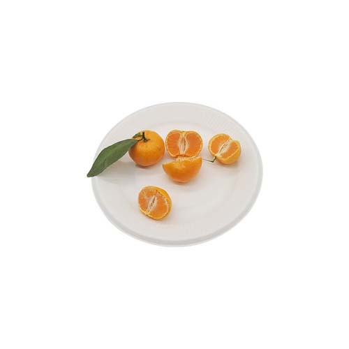 Round Sugarcane 8 Inch Plate