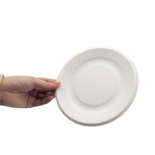 Round Sugarcane 8 Inch Plate