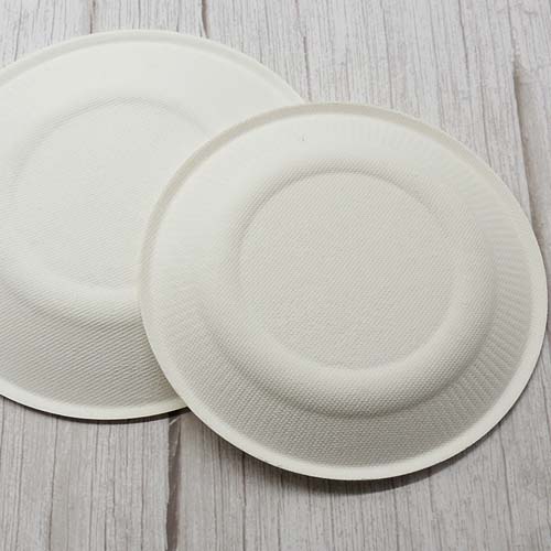 Round Sugarcane 8 Inch Plate