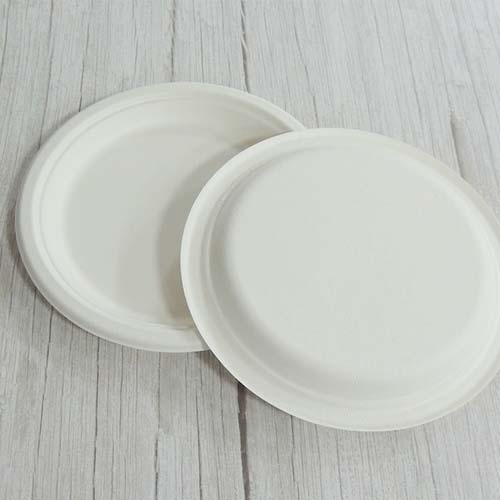 Round Sugarcane 8 Inch Plate