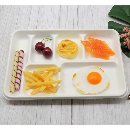 12 Inch Sugarcane Tray