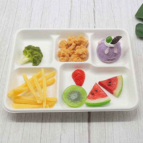 5 Compartment Sugarcane Tray