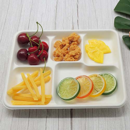 5 Compartment Sugarcane Tray
