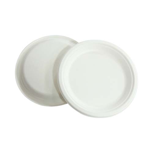 6 Inch Sugarcane Plate