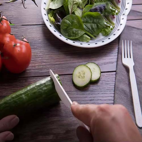 7 Inch CPLA Cutlery