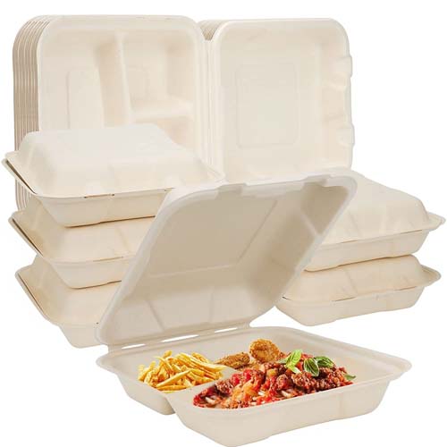 8 Inch Bagasse Clamshell Box