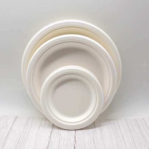 8 Inch Sugarcane Plates