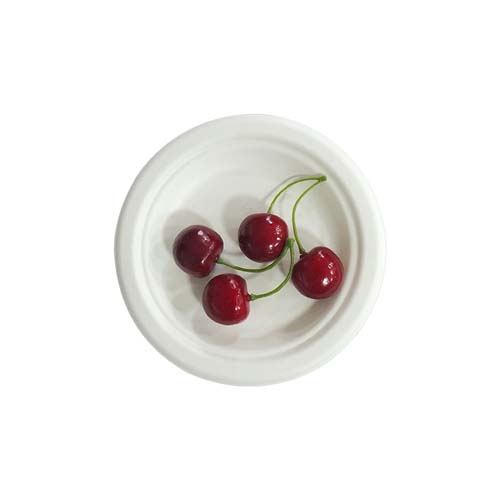 8 Inch Sugarcane Plates