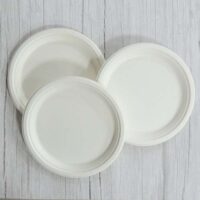 9 Inch Sugarcane Plate