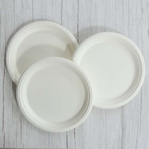 9 Inch Sugarcane Plate