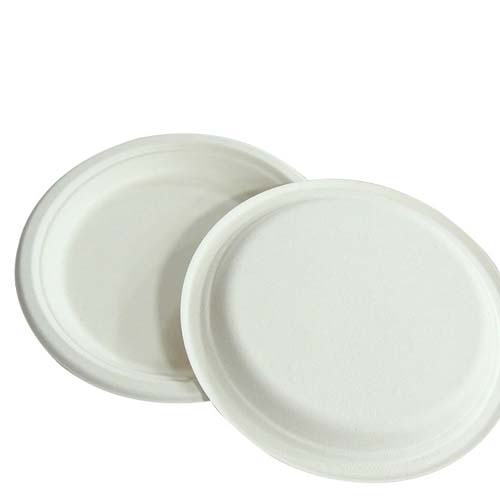 9 Inch Sugarcane Plate