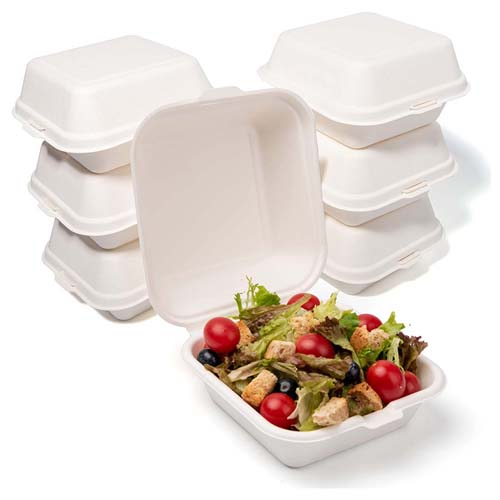Bagasse Clamshell 1000ml