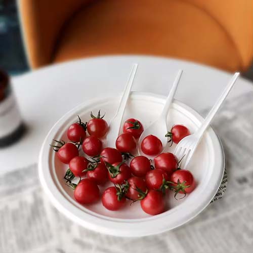 CPLA Cutlery Kit