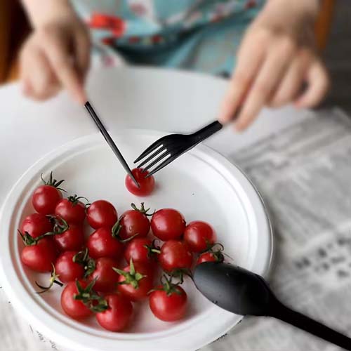 CPLA Cutlery Kit