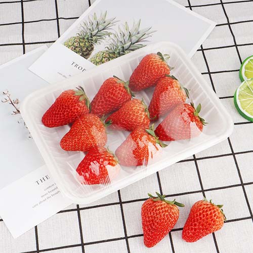 Cornstarch Food Tray Compostable