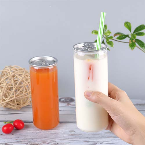 Portable Clear Pet Beverage Can