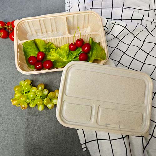 Rice Husk Lunch Box 3 Compartment