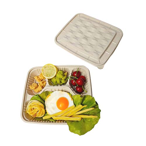 Rice Husk Meal Box 4 Compartment