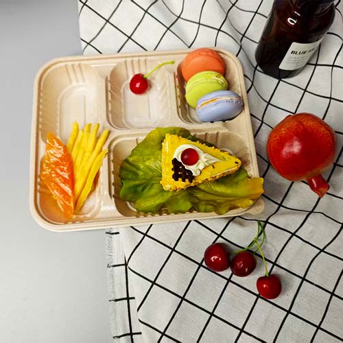 Rice Husk Meal Box 4 Compartment
