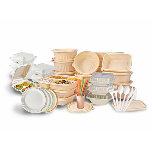 Rice Husk vs Sugarcane vs Cornstarch Lunch Boxes Pros & Cons