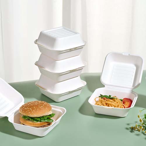 Sugarcane Bagasse 6x6 Inch Burger Box