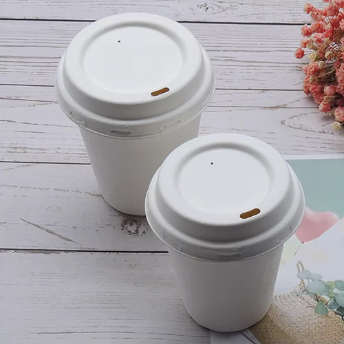 Sugarcane Bagasse Cups with Lids