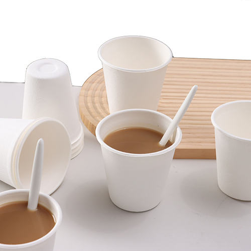 Sugarcane Bagasse Cups with Lids