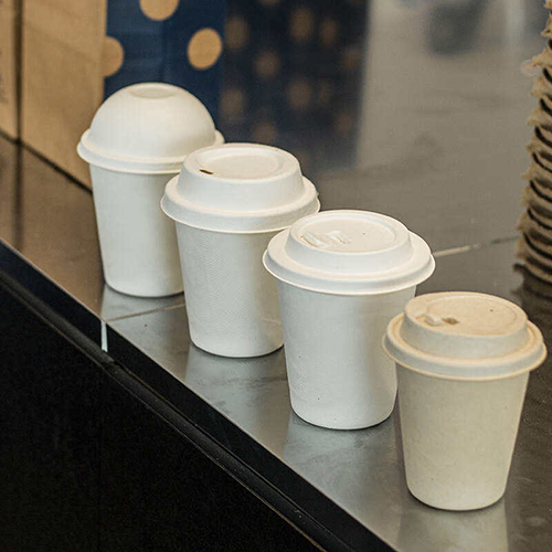 Sugarcane Bagasse Cups with Lids