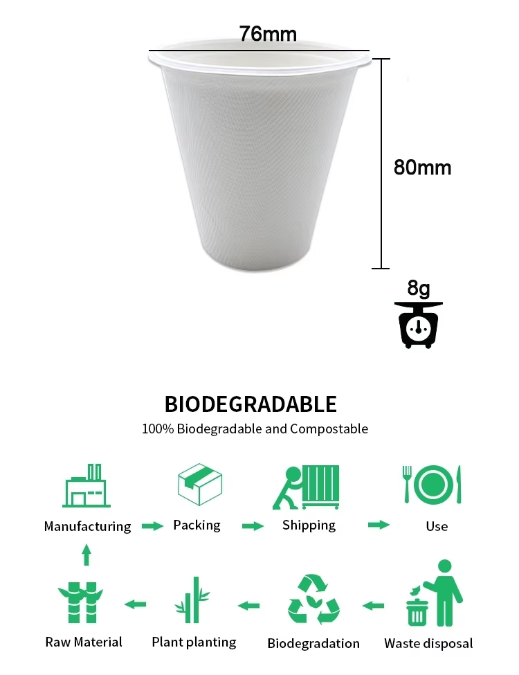 Sugarcane Bagasse Cups with Lids