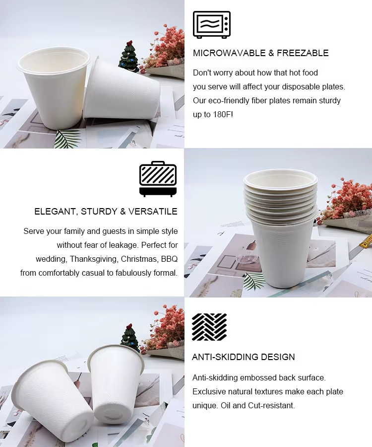 Sugarcane Bagasse Cups with Lids