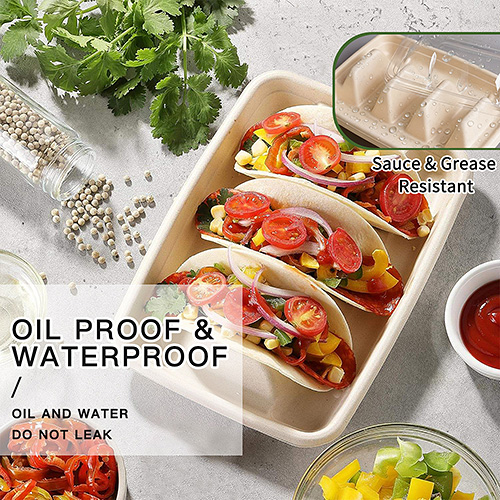Sugarcane Bagasse Taco Tray Box
