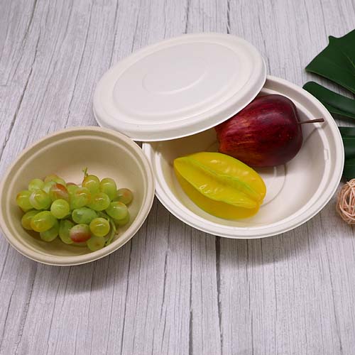 Sugarcane Bowls Compostable