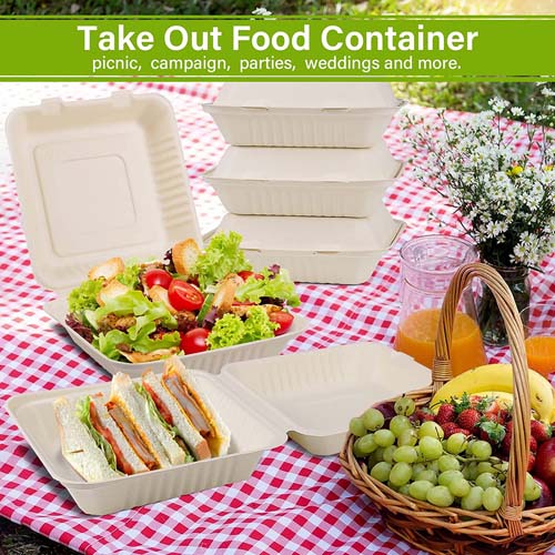 Sugarcane Clamshell Box 315mm