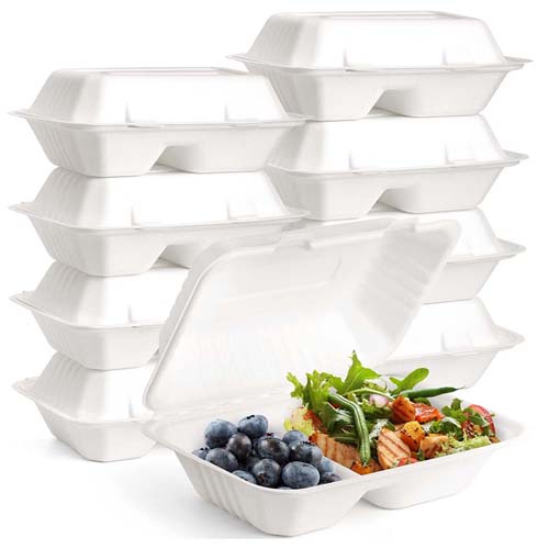 Sugarcane Clamshell Food Box