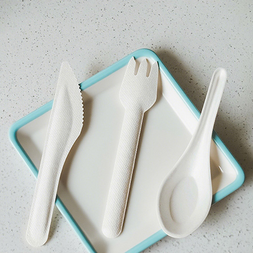 Sugarcane Cutlery Spoon Fork Knife Set