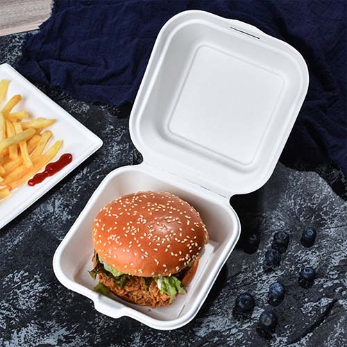 Sugarcane Food Packaging Burger Boxes