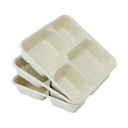 Sugarcane Food Tray Disposable
