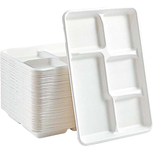 Sugarcane Food Tray Disposable